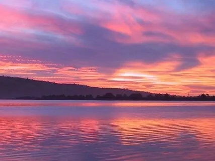 Today's Consideration: Trust That God Shields Us