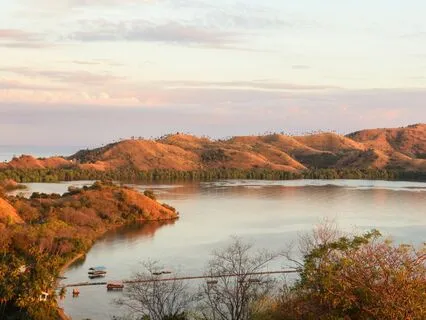 Toe To Head Progressive Relaxation