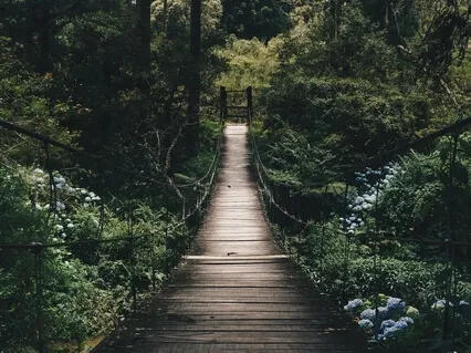 Together In The Distance