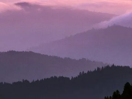 Together We Learn: Alpha Waves For Joyful Learning