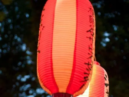 Tokyo Rain Café — 12 Hours Lo-Fi Ambient for Focus & Calm