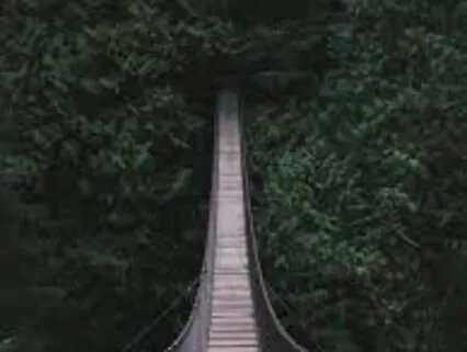 Tolerance Is Where It Starts: About Open-Mindedness & Non-Judgment