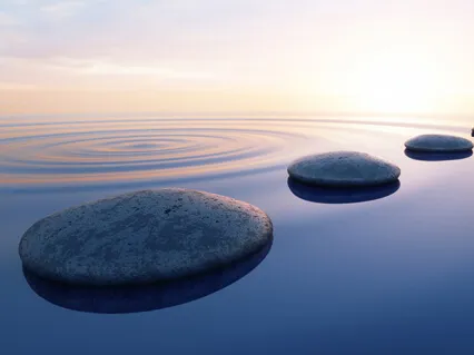 Tom Moore & Tim Sadow - Timeless Beauty