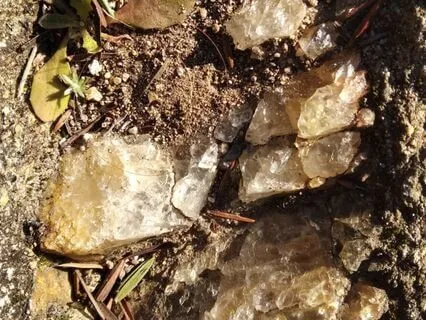 Grounding | Didgeridoo Trip To Expand Yourself