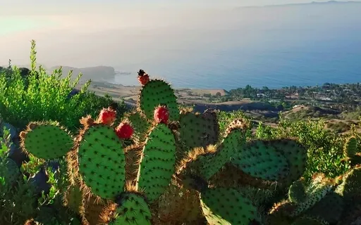 Tonantzin Mother Mary