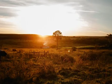 Tondchee & Atmøsphäre - The Place Of Return & Rest