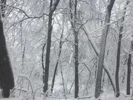 Tone Choir: Snowfall