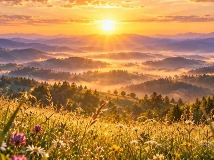 Tone For A Higher Order | Ambient Music For Harmonious Flow