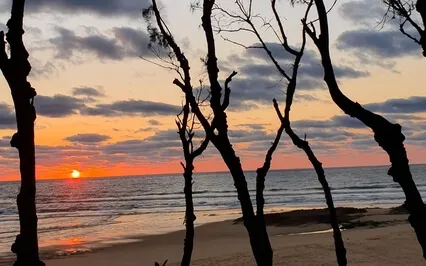 Tone Therapy - Restore Balance