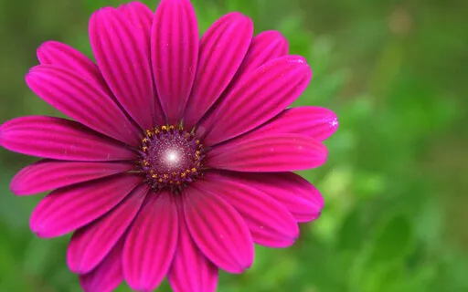 Tones Of Love | Heart Chakra Healing