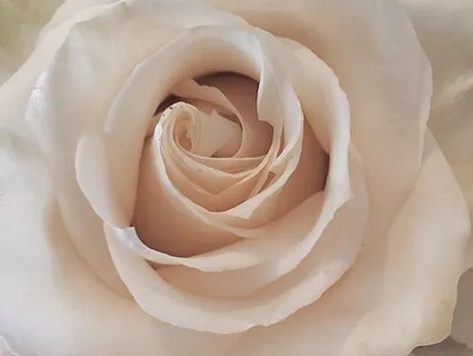 Tonglen: An Ancient Buddhist Practice