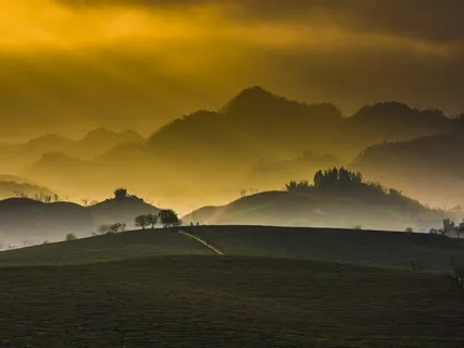 Tonglen And Compassion