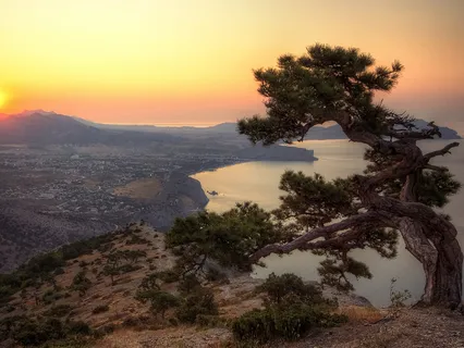 Tonglen Guided Practice