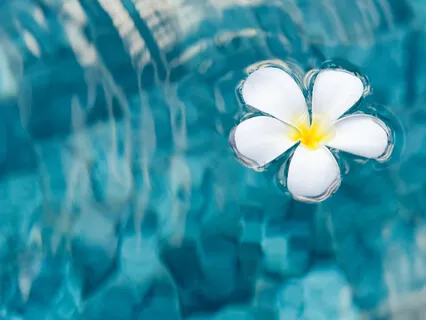 Tonglen Inspired Compassion Practice