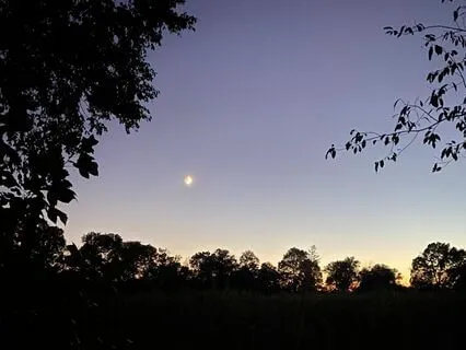 Tonglen Practice For Grief Season