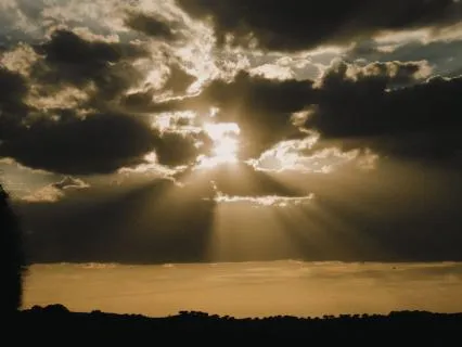 Tonglen: The Wholeness Pt 5 (5.8.26)