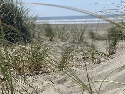 Tongue Drum Let the Heart Flow