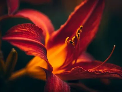 Too Many Children with Marysol | with Keith Holding Music