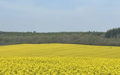 Tools To Ease Anxiety 