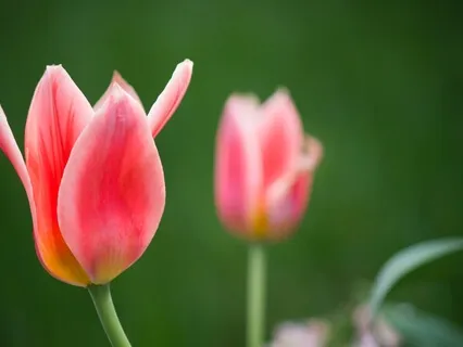 Tools To Use To Stay Positive