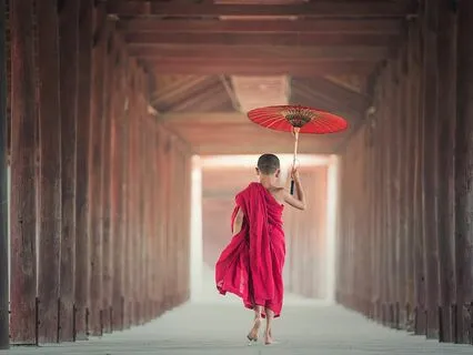 Top 18 Authentic Buddhist Quotes (Insight Meditation)