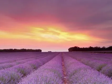 Tosha Silver Acceptance Change Me Prayer