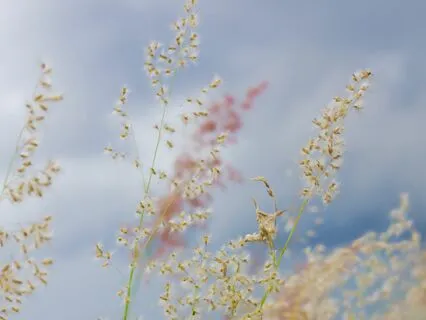 Tosha Silver Change Me Abundance Prayer