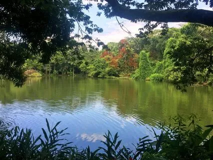 Total Acceptance Of What Is