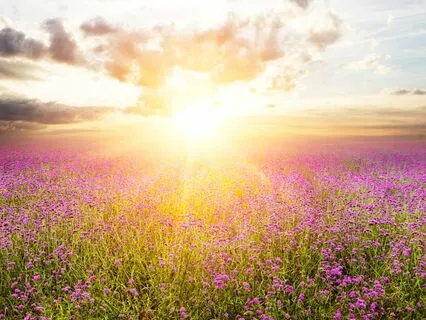 A Mindful Exploration For Total Body Relaxation