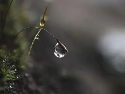 Total Calm: 8-Hour Anxiety Dissolve (Rain)