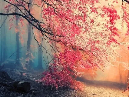 Total Mind & Body Relaxation