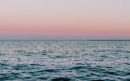 Total Relaxation [Beat Insomnia] Sleep Music