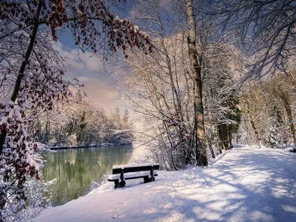 Total Relaxation Body Scan - Meditation 63