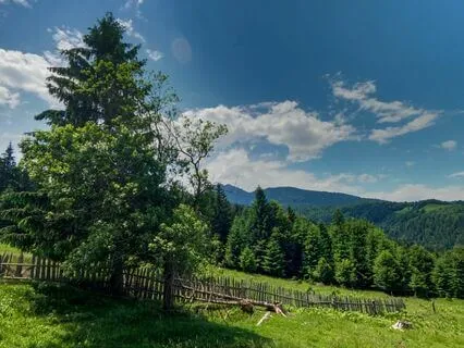 Total Relaxation: Erase Stress