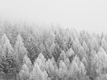 Total Relaxation Meditation