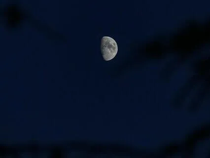 Total Serenity: Blissful Shimmering Sound Bath