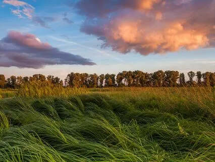 Total Unwind: Release Stress & Recharge