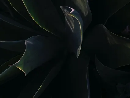 Totally Deep Relaxation