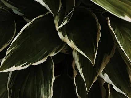 Touch (5 Love Languages)