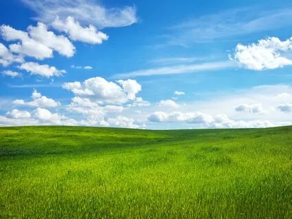 Touch Grass: Anchoring In Nature While Working With Thoughts