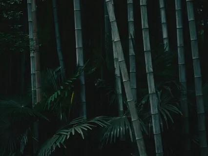 Touch Of Grace:  Bamboo Flute And Synthesizer