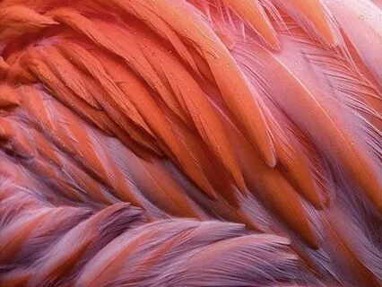 Touched By Angels • Fast Divine Connection Guided Meditation