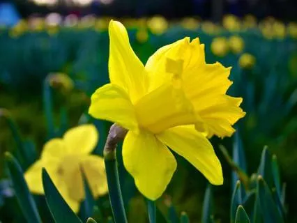 Touched By The Energy Of Glastonbury - March 11