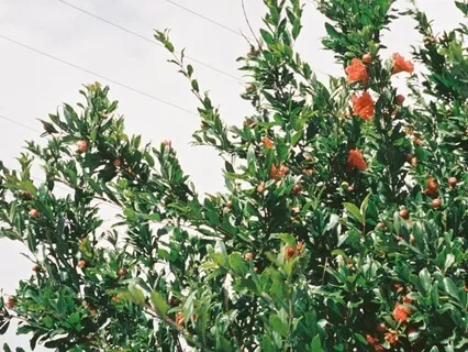 Touching, Connecting