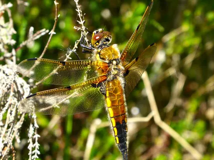 Touching Source Consciousness