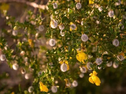 Touching The Mystery Of Life