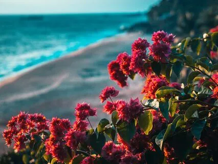 Touching The Present Moment