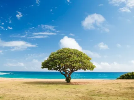 Toward The One — Affirmative Prayer