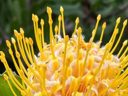 Towards Fertility And Conception