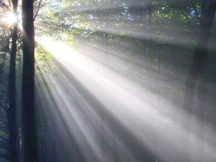 Towards The Light: An Advent Journey-Day 19 Unexpected Light